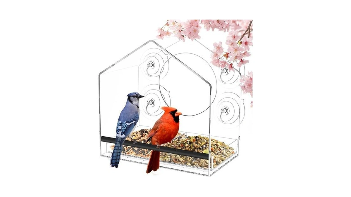 Jarkyfine Window Bird Feeder With Strong Suction Cups - Clear