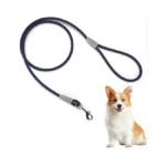 5ft Nylon Waterproof Dog Leash, Durable Strong Odor-proof Dog Leashes