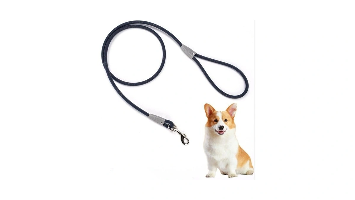 5ft Nylon Waterproof Dog Leash, Durable Strong Odor-proof Dog Leashes