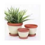 Yishang Glazed Terracotta Pots With Saucers, Set Of 3, 5",