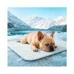 Patiencet Dog Cooling Mat, 22 X 28 In No-gel Cooling