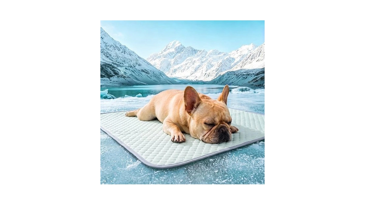Patiencet Dog Cooling Mat, 22 X 28 In No-gel Cooling