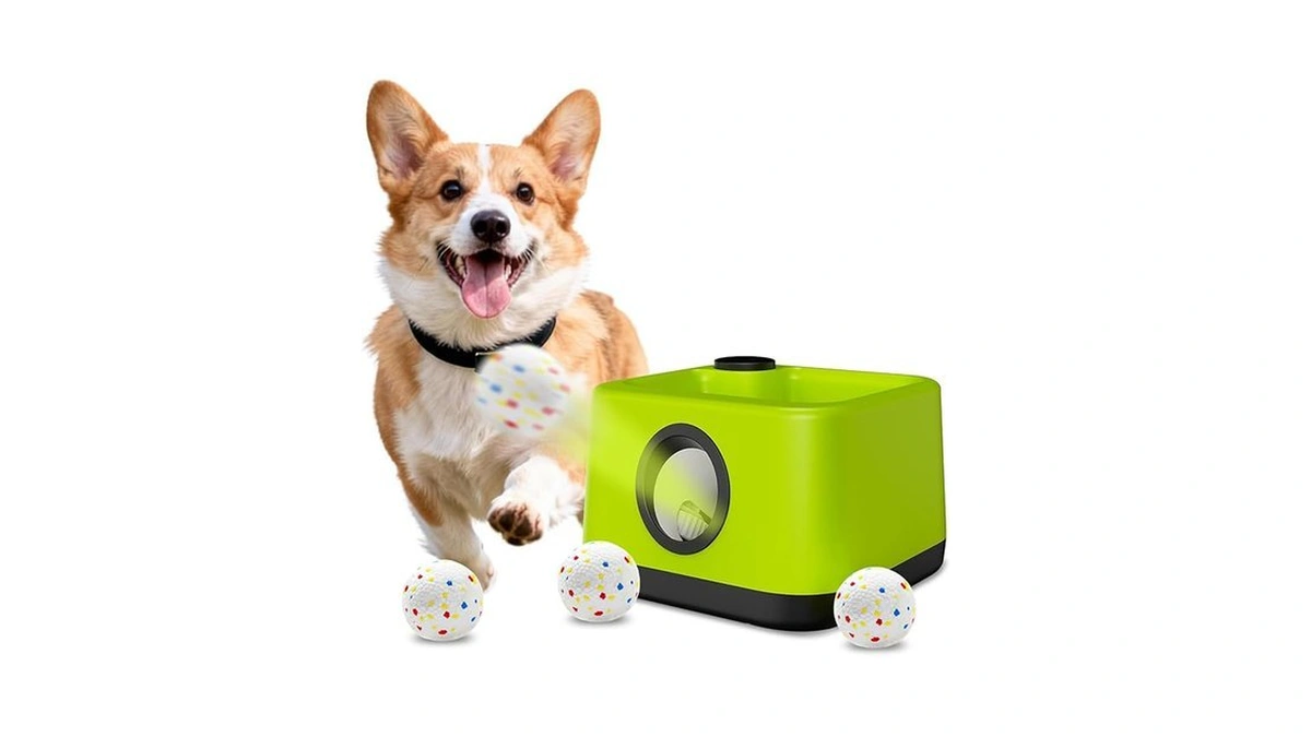 Jdxsz Automatic Dog Ball Launcher: Upgraded Auto/manual Pet Ball Thrower