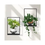 Storenization Wall Plant Holder Floating Shelves For Wall Set Of