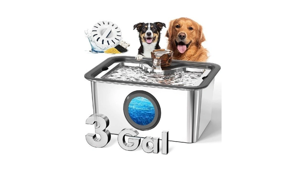 3-gallon Large Dog Water Fountain With Filter, Stainless Steel Automatic