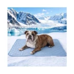 Patiencet Dog Cooling Mat, 28 X 40 In No-gel Cooling