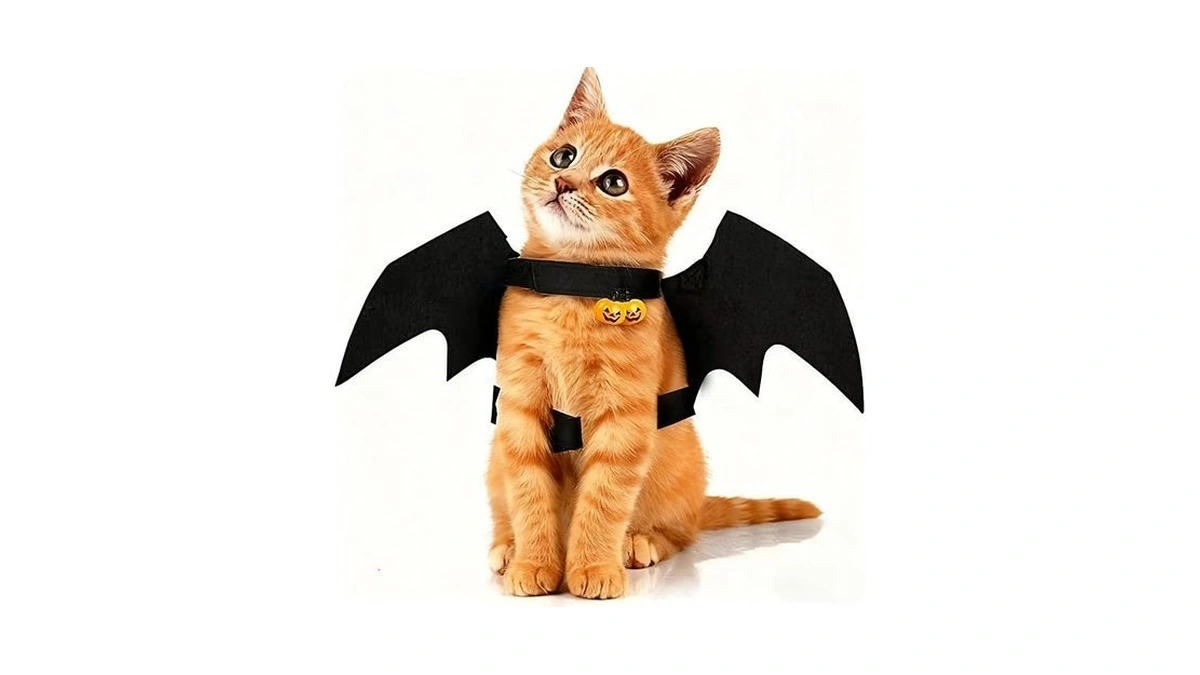 Dog Bat Wings Costume, Pet Cosplay Party Dress Up Costume