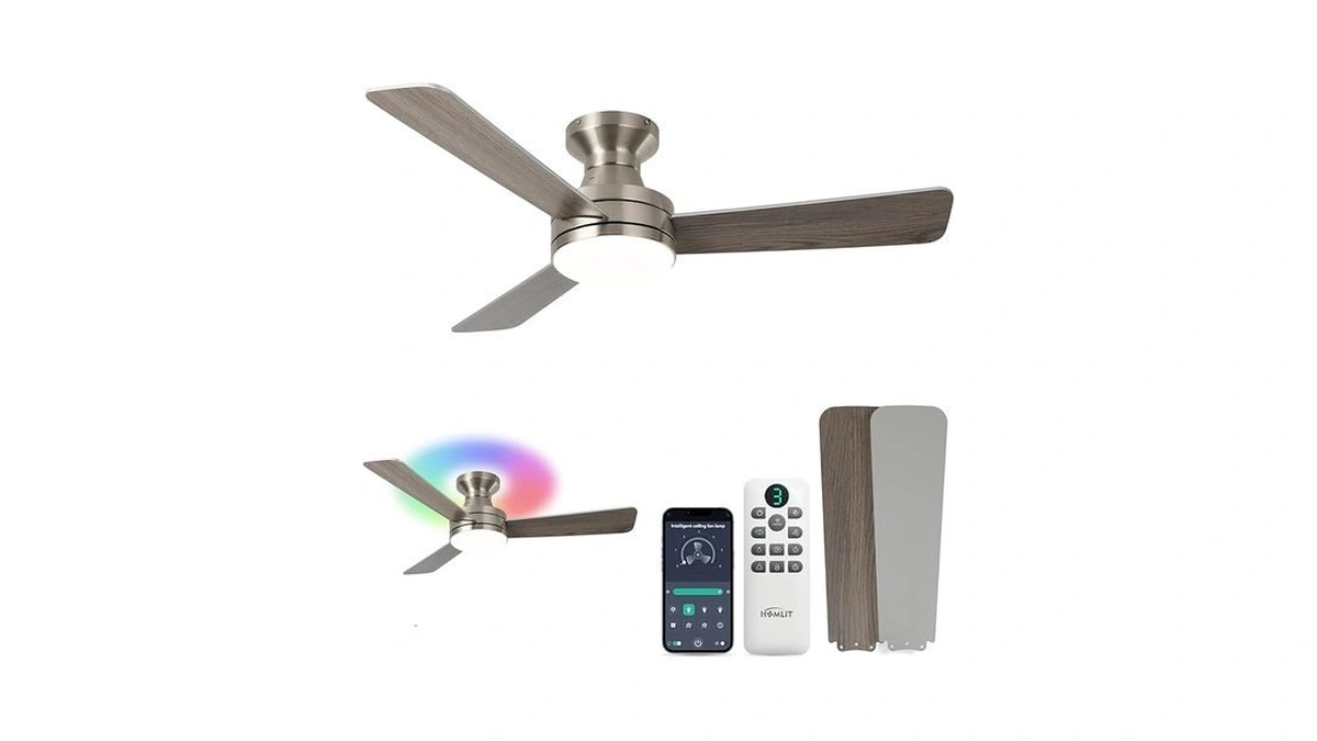 Homlit 42 Inch Rgb Ceiling Fan With Light, Smart App