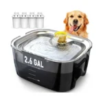 2.6 Gallon Dog Water Fountain – Stainless Steel 10l Pet