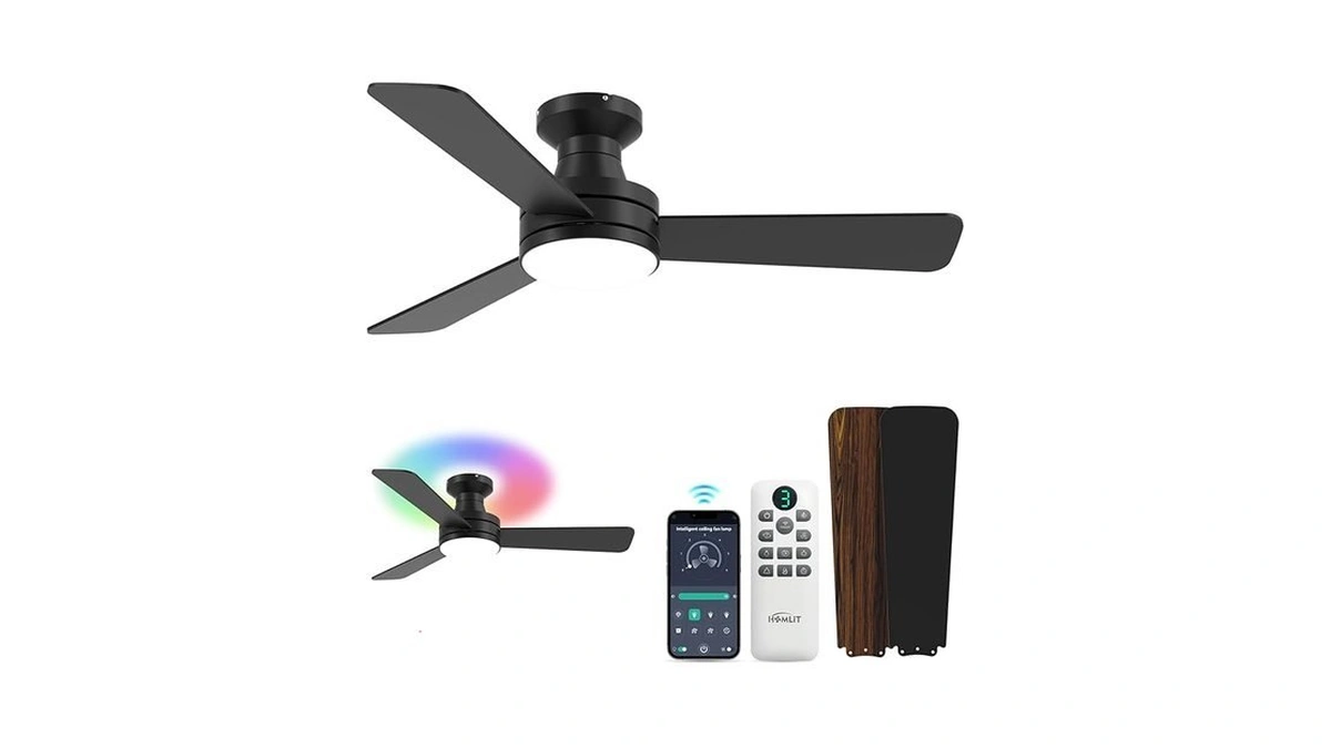 Homlit 42 Inch Rgb Ceiling Fan With Light, Smart App