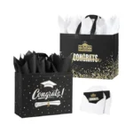 Yangte 2 Pack 13" Large Graduation Gift Bags With Tissue