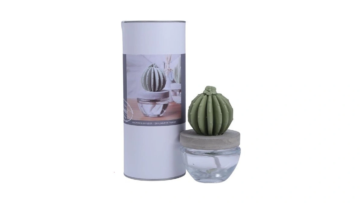Pretty Valley Home Reed Diffuser Set Ceramic Cactus Fragrance Diffuser-white