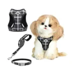 Gyuzh Small Dog Harness And Leash Set, 3-in-1 Step In