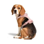 Wisedog Dog Harness Medium Sized, Pet Vest With Front Clip,