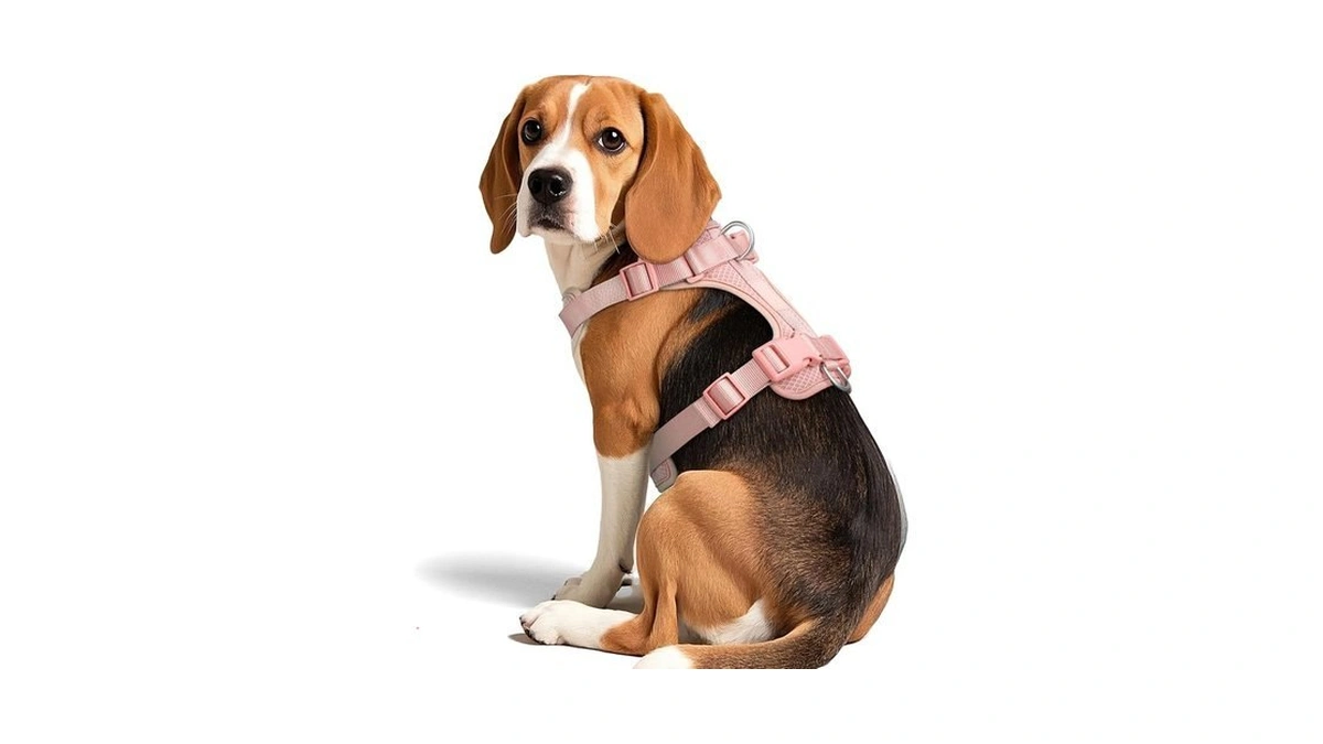 Wisedog Dog Harness Medium Sized, Pet Vest With Front Clip,