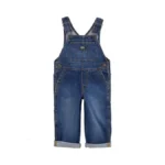 Oshkosh Boys World's Best Overalls, Vintage Denim, 4t