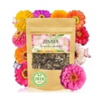 Zinnia Seeds Bulk 5,000+ | Outdoor Flower For Planting |giant