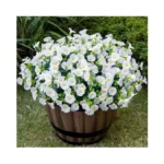 Nigirior Artificial Faux Flowers For Outdoor 16 Bundles Boxwood Fake