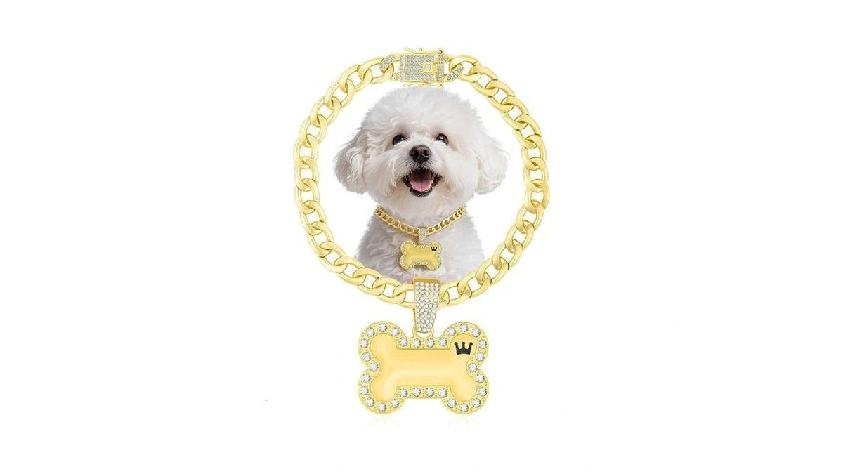 Kynox Cuban Gold Link Heavy Duty Necklace Dog Cat Collar