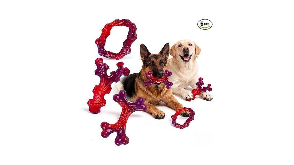 Frienhund 6-pack Indestructible Dog Toys For Large Breed: Dog Toys