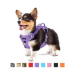 Slowton Dog Harness For Small Dogs, No Pull No Choke