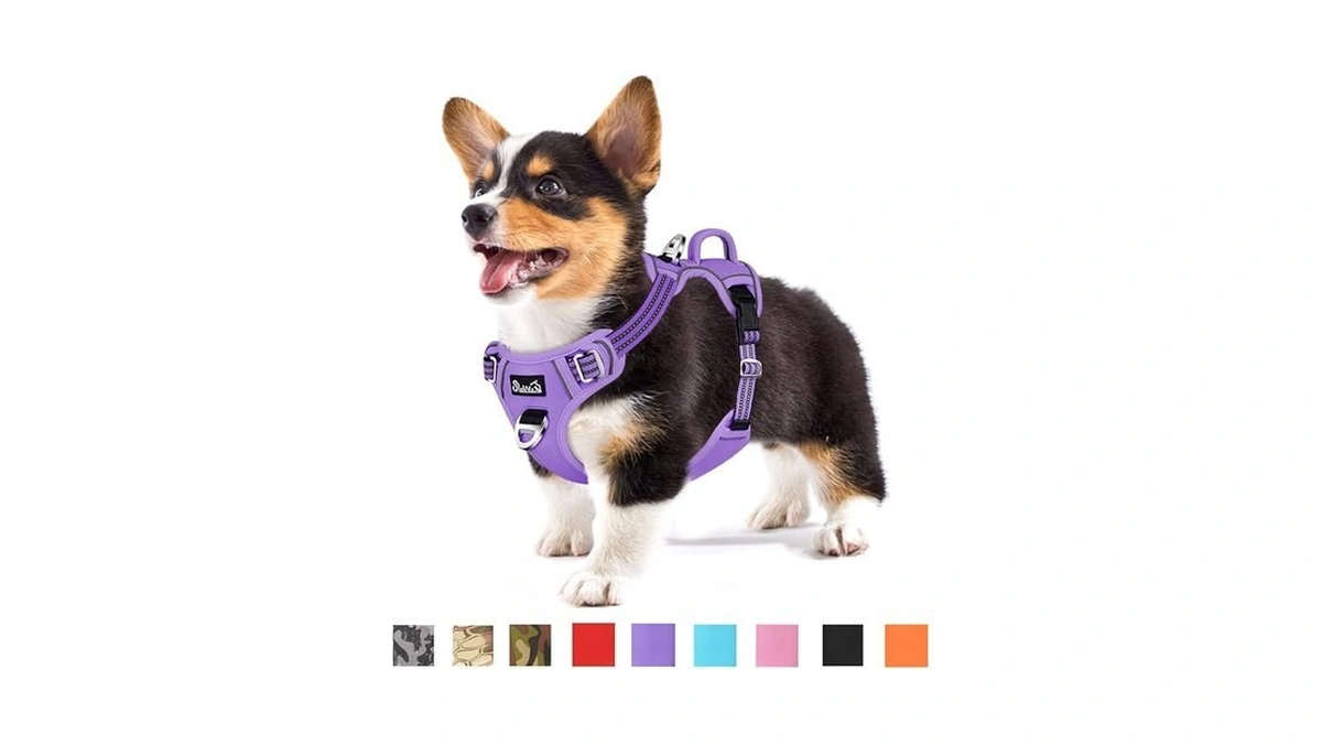 Slowton Dog Harness For Small Dogs, No Pull No Choke