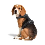 Wisedog Dog Harness Medium Sized, Pet Vest With Front Clip,