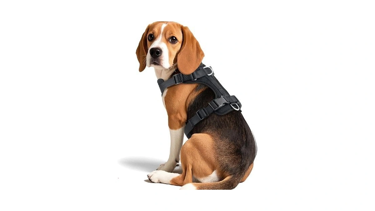 Wisedog Dog Harness Medium Sized, Pet Vest With Front Clip,