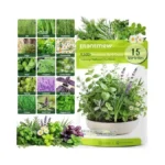 Herb Seeds 15-pack – 4,500+ Heirloom Seeds For Planting –