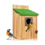 Bird Houses For Outside - Cedar Bluebird Houses With Metal