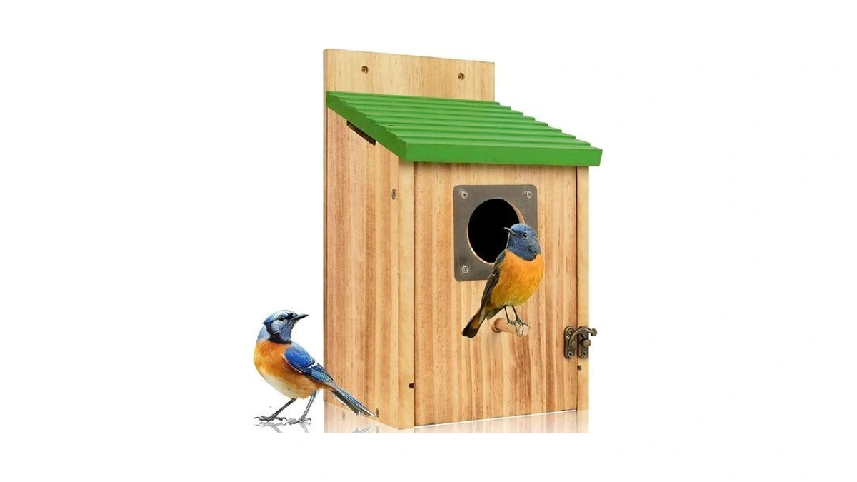 Bird Houses For Outside - Cedar Bluebird Houses With Metal