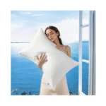 Aiangu Canadian Luxury Goose Down Pillow Queen Size - 1050