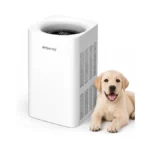 Ambersky Air Purifier For Home, True Hepa Filter For Large