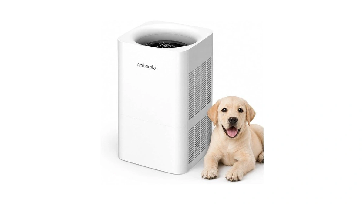Ambersky Air Purifier For Home, True Hepa Filter For Large