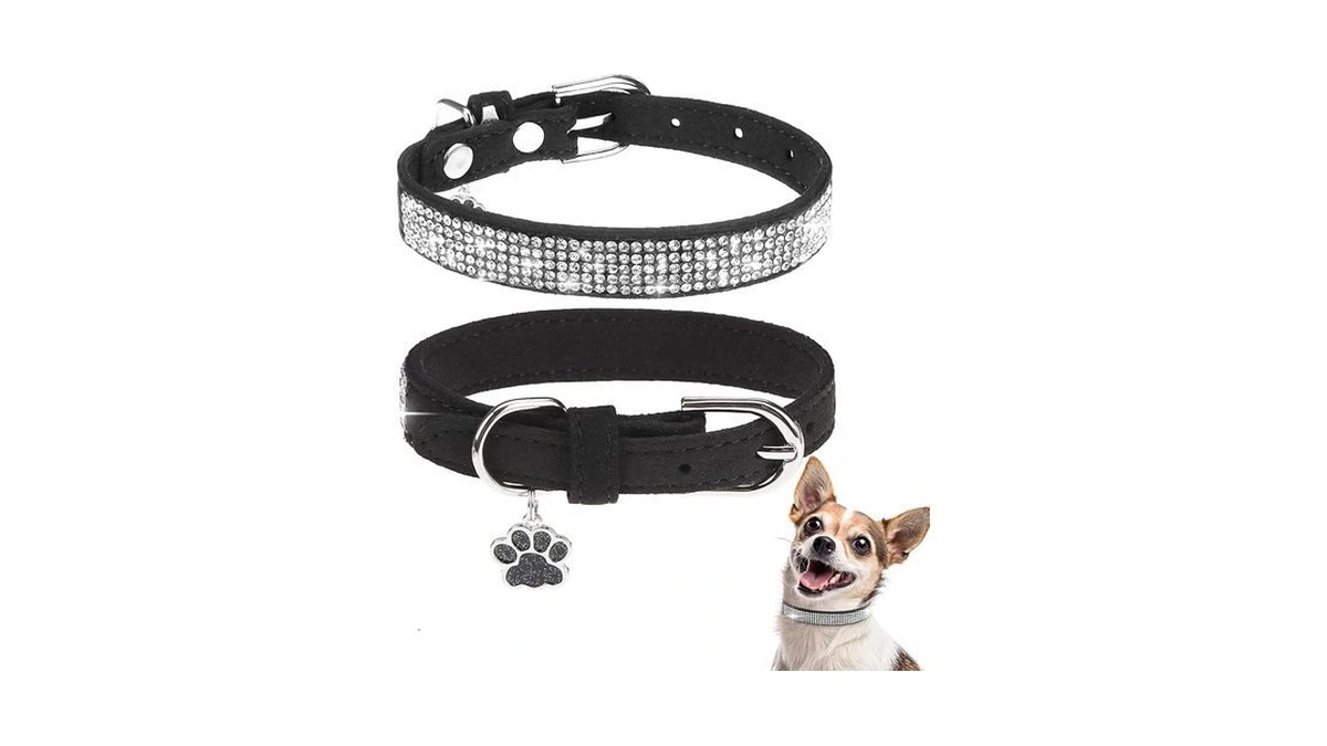 Bingpet Leather Dog Collars For Small Dogs, Black Rhinestone Dog