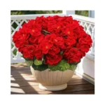 Fullmusic Artificial Flowers For Outdoor, Uv Resistant Realistic Geranium Fake