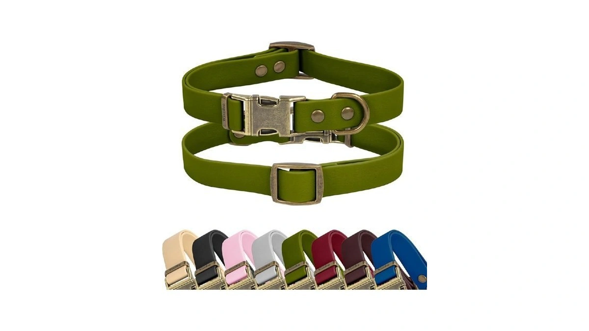 Wisedog Waterproof Cat Collar With Cute Tag - Adjustable Cat