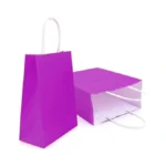 12 Pieces Kraft Paper Party Favor Gift Bags With Handle,