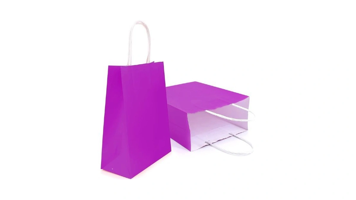 12 Pieces Kraft Paper Party Favor Gift Bags With Handle,