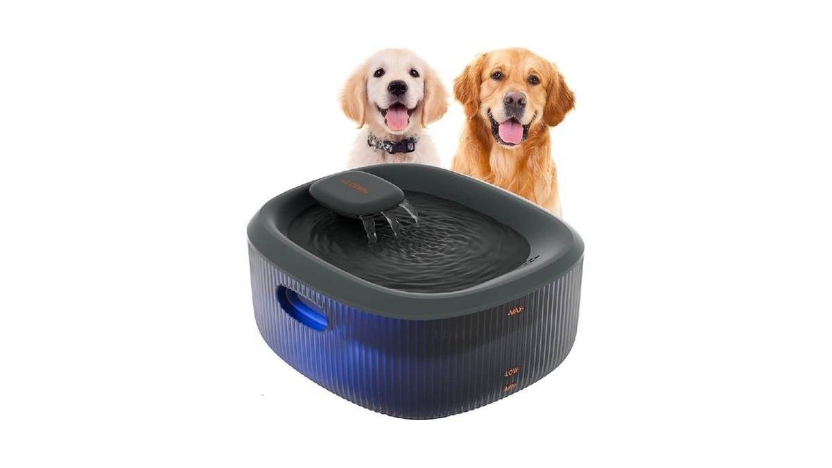 Wopet Dog Water Fountain For Large Dogs, 6l/205oz/1.7gal Automatic Dog