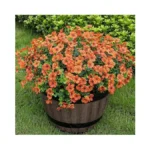 Lnoicy 20 Bundles Artificial Fake Flowers For Outdoor Faux Eucalyptus