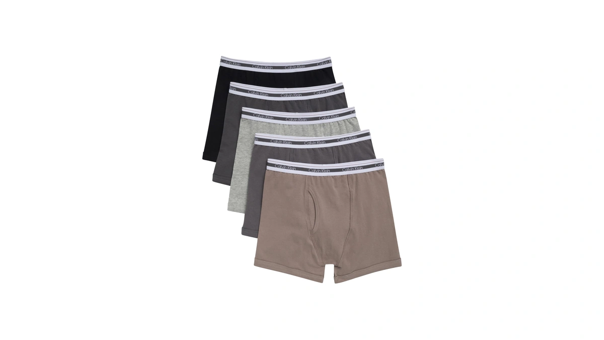 Calvin Klein Kids Boys' Modern Cotton Boxer Brief Underwear 5-pack,