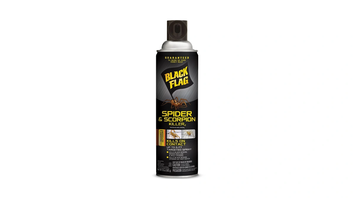 Black Flag Spider And Scorpion Killer, Aerosol, 16-oz