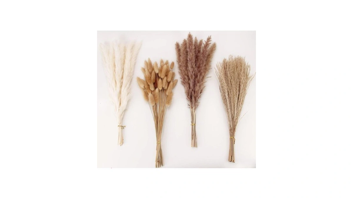 Dried Pampas Grass Decor, 100 Stems Pampas Grass Contains Bunny