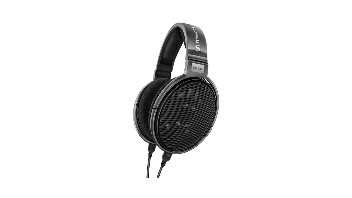 Sennheiser Consumer Audio Hd 650 - Audiophile Hi-res Open Back