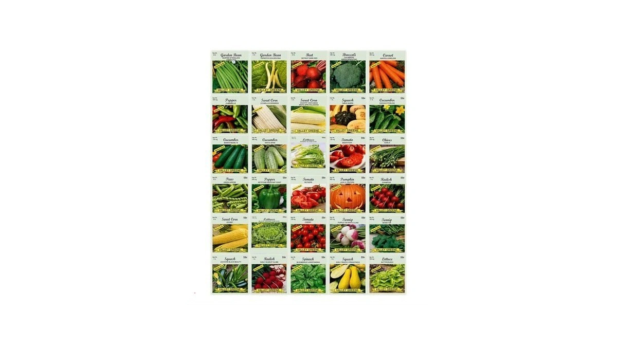 30 Packs Of Deluxe Valley Greene Heirloom Vegetable Garden Seeds