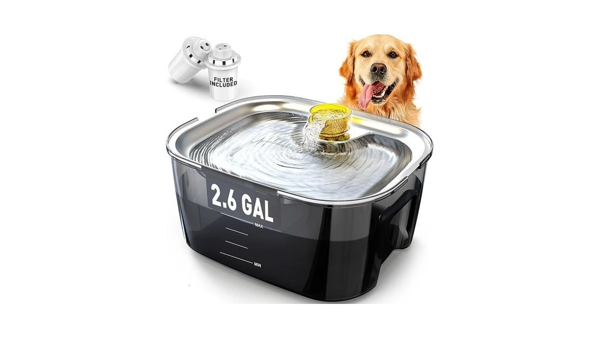 2.6 Gallon Dog Water Fountain – Stainless Steel 10l Pet