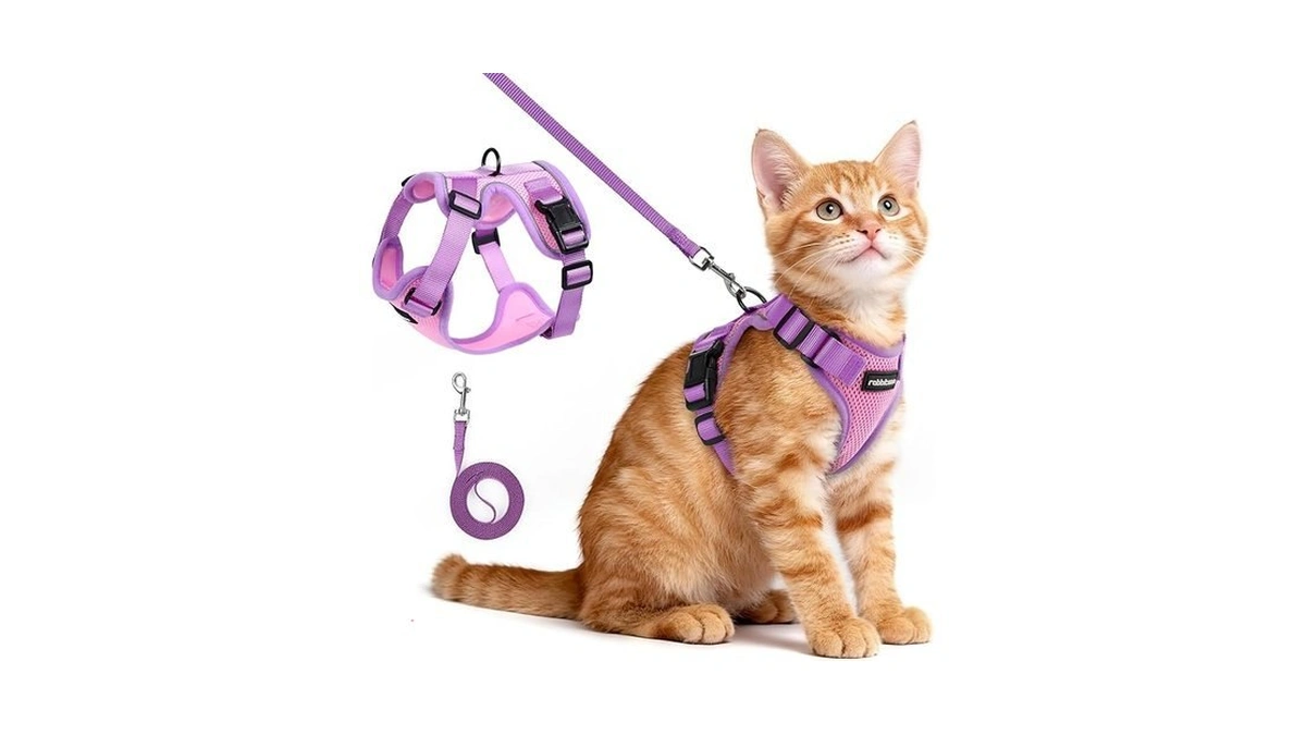 Rabbitgoo Cat Harness And Leash Set, Escape Proof Soft Adjustable