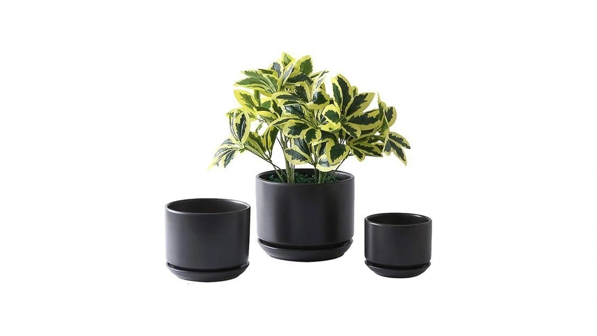 Yishang Succulent Plant Pots,6.7+5.3+4.1 In Glazed Ceramic Planters With Connected