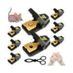 Mouse Traps - Rat Trap Quick Effectively Best Mouse Trap